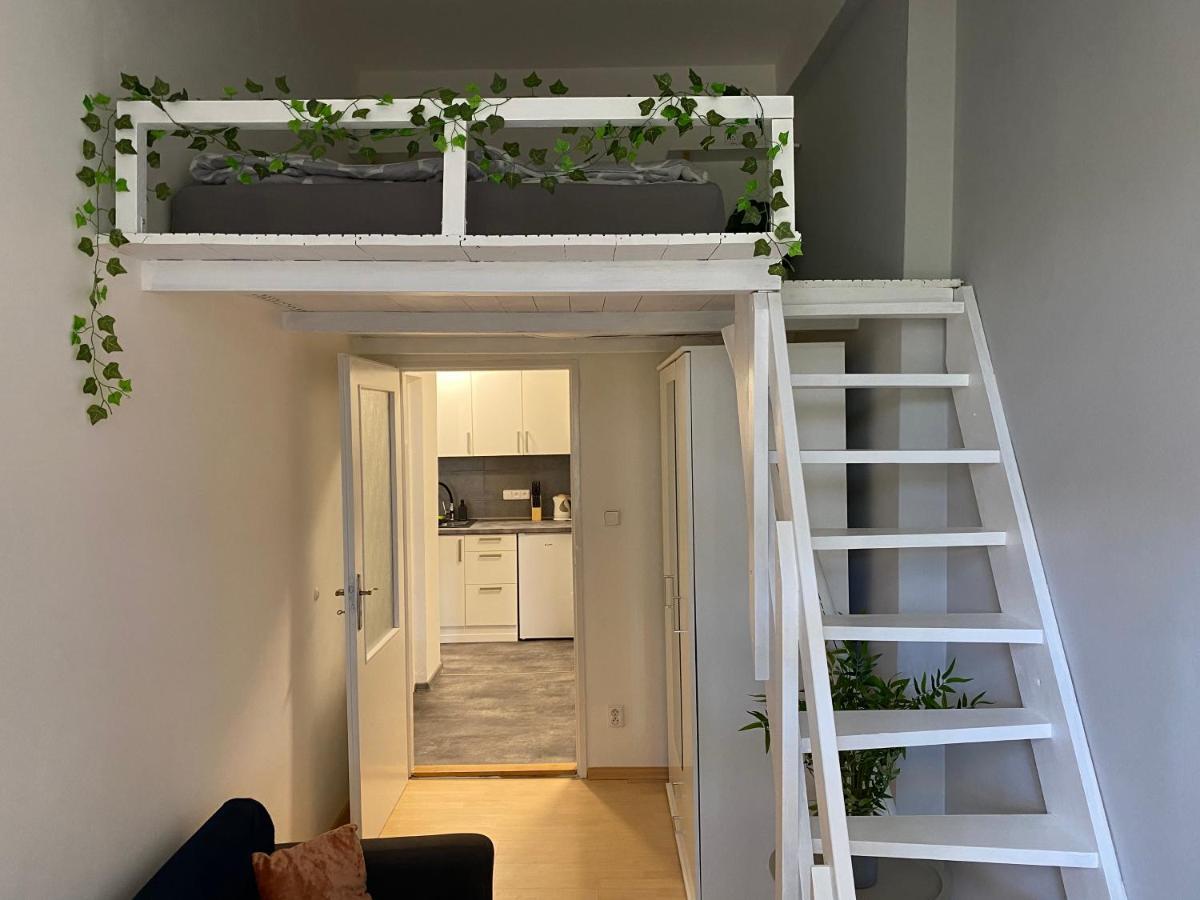 Downtown Flat Under Spilberk Castle Διαμέρισμα Μπρνο Εξωτερικό φωτογραφία